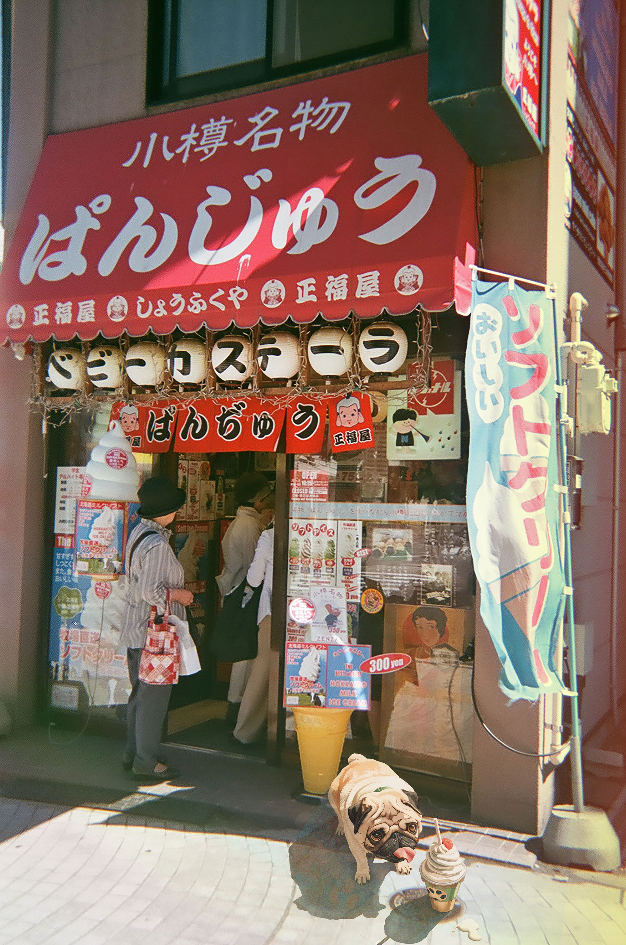 Otaru Pug's summer treat